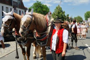 Eibacher Kärwaumzug 2017